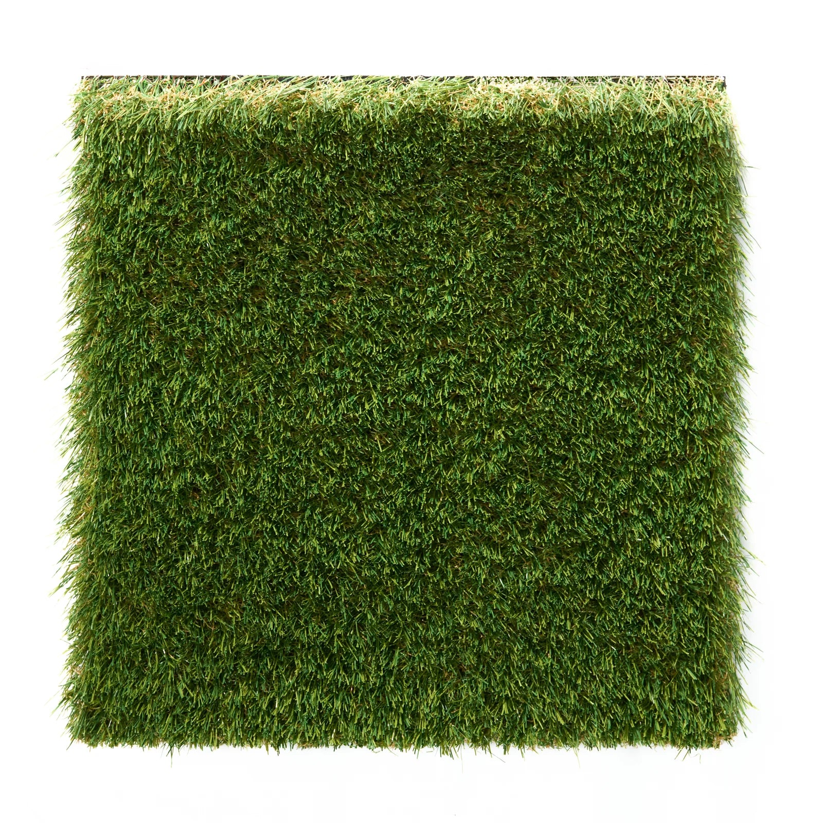 Deluxe Pro | 15ft x 10ft Roll | 55 oz Landscaping Turf