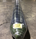 Maui 60 | 15ft x 7ft Roll | Triple-Blend 3D Blade Turf